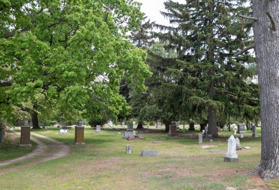 lulu cemetery-5 (old)